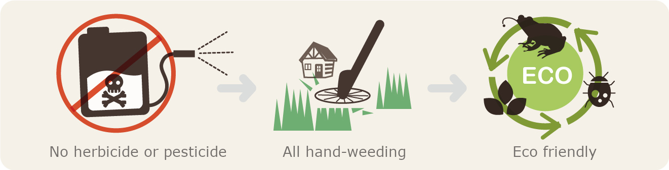 No herbicide or pesticide/ All hand-weeding/ Eco friendly
