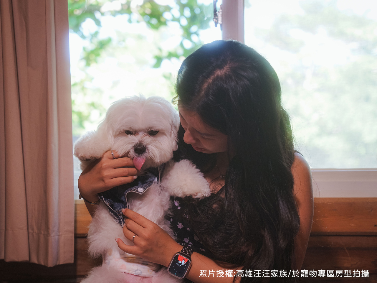 寵物房小圖狗狗