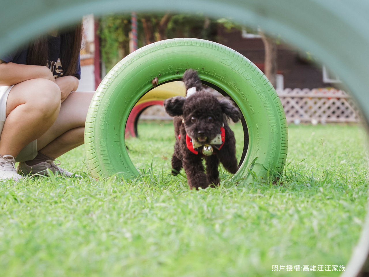 寵物房小圖公園
