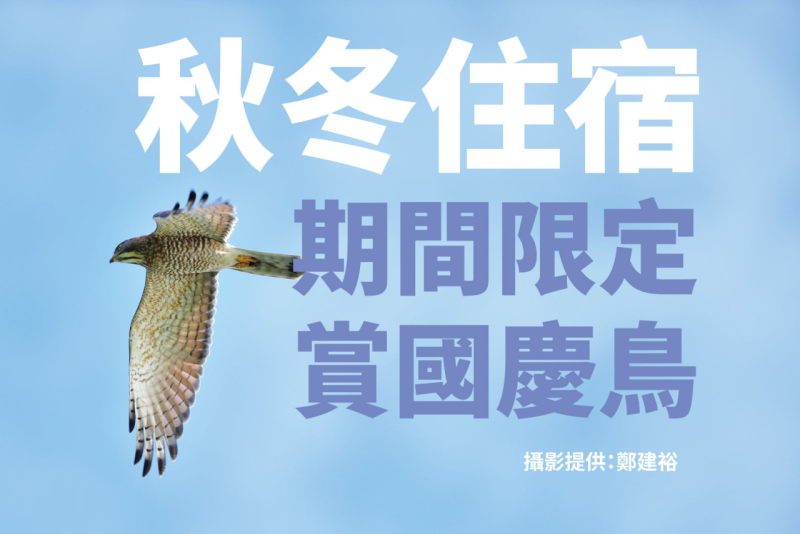 小墾丁秋冬住宿專案．期間限定賞國慶鳥！